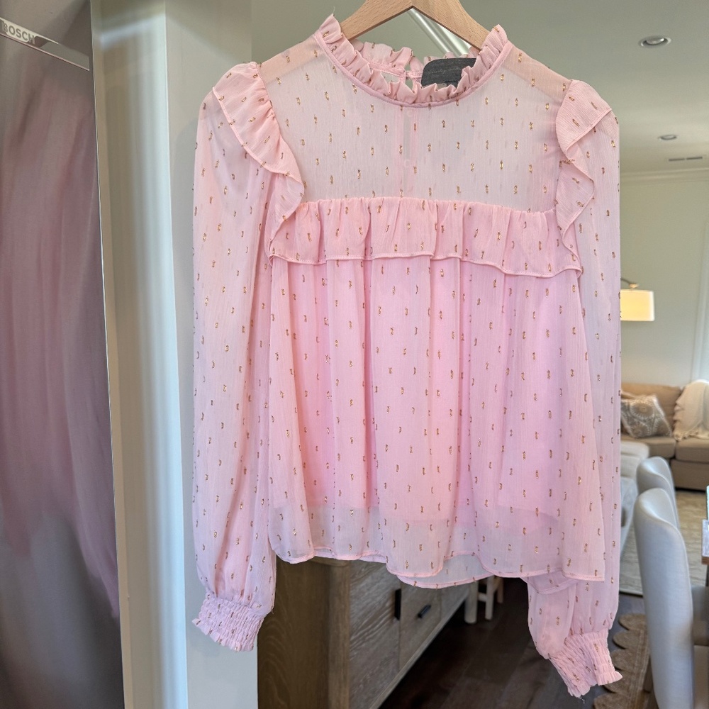 Sunday in Brooklyn Women’s Chiffon Blouse Sheer Long Sleeve in Pink